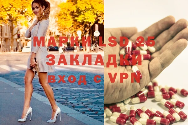 винт Абаза