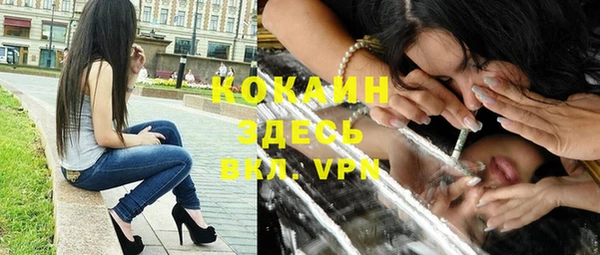 винт Абаза
