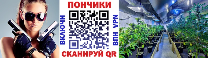 это как зайти  Аксай  Шишки марихуана LSD WEED 